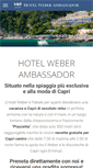 Mobile Screenshot of hotelweber.com